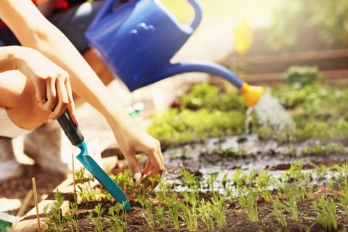 Professionals performing garden clearance in Bermondsey