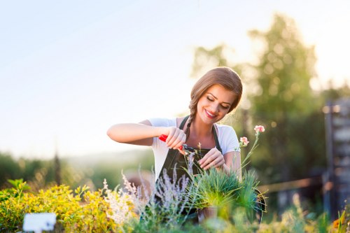 Professional lawn mowing service in Bermondsey