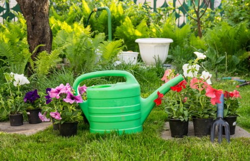 Healthy green lawn maintained by Bermondsey experts