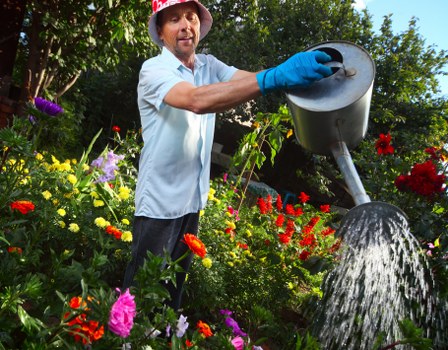 Eco-friendly lawn maintenance practices