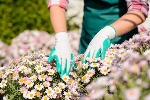 Modern gardening tools for Bermondsey garden maintenance