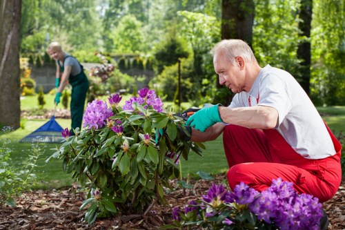 Seasonal lawn care services in Bermondsey
