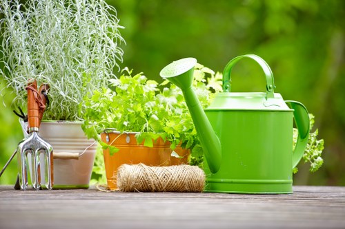 A neatly arranged outdoor garden scene featuring gardening tools and plants on a wooden surface. On the left, a small hand rake and a trowel with wooden handles are placed beside a gray pot containing tall, silvery foliage. Next to it, a terracotta pot holds lush green leafy plants, with a coiled jute garden twine lying in front. To the right, a bright green plastic watering can with a long spout and a handle is situated prominently, suggesting lawn or garden maintenance activity. The background features a blurred outdoor environment with vibrant green foliage, indicating a well-maintained garden space in a residential area, potentially within Bermondsey or nearby London. The scene is illuminated by natural daylight, emphasizing the freshness of the plants and the clean appearance of the gardening tools, reflecting professional gardening services such as lawn mowing and plant care provided by Lawn Mowing Bermondsey.