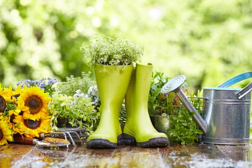 Professional lawn mowing service in Bermondsey