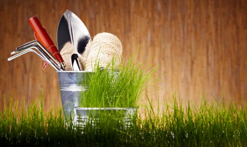 Healthy green lawn maintained by our experts