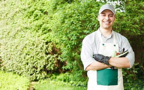 Choosing the right lawn care service provider