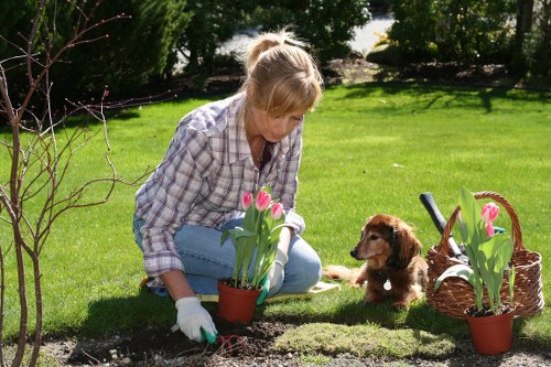 Eco-friendly lawn mowing practices in Bermondsey