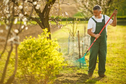 Technician shaping a laurel hedge with precision