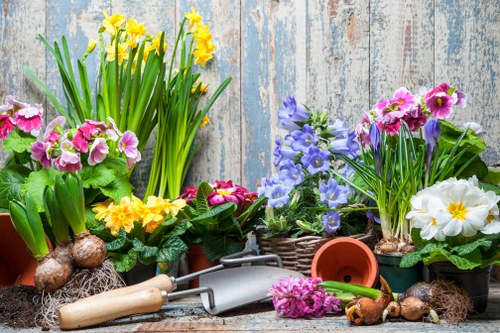 Healthy plants thriving post-garden clearance